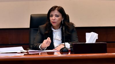 وزيرة الاستثمار: الدولة في طريقها لـ«ميكنة المناطق الحرة»