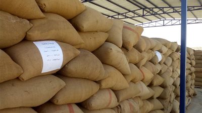 حملات على صوامع وشون القمح للتأكد من الكميات المستلمة