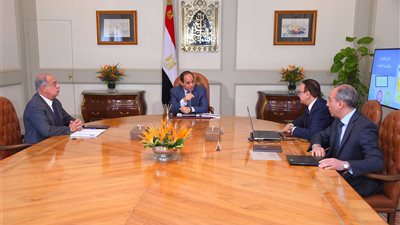 السيسي يؤكد أهمية تطوير البنية الأساسية لقطاع الاتصالات في الصعيد