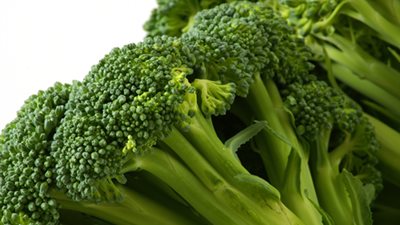 طبيب مصرى: البروكلى وشرب المياه وتناول الأسماك والتمر.. أغذية تساعد على التفوق والنجاح