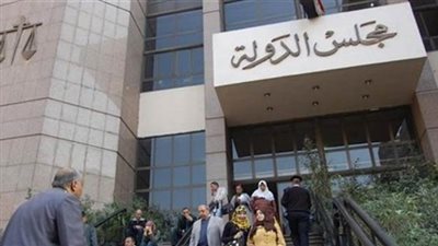 نائب رئيس مجلس الدولة: المحاكم مليئة بالنقص التشريعي وعلى رأسها الحريات