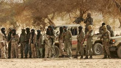 فرنسا تعرب عن رغبتها بمشاركة النمسا فى تدريب القوات المالية