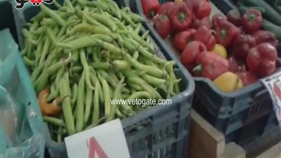 بالفيديو.. تباين أسعار الخضار والفاكهة اليوم بالأسواق