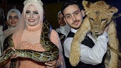 بالصور.. عروسان ينظمان حفل خطوبتهما داخل قفص الأسود في بورسعيد