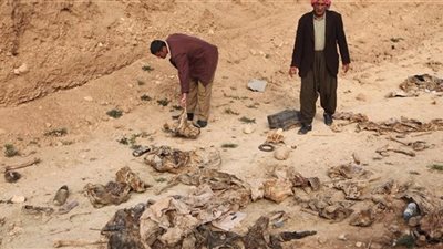 كشف 5 مقابر جماعية خلفها داعش شمال بابل