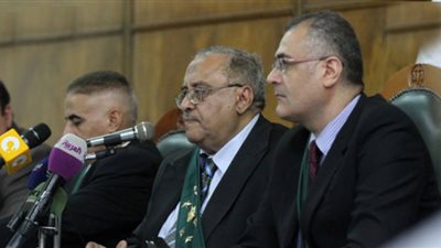 ماهر أبو العينين: أحكام مجلس الدولة نظمت الحياة المتغيرة