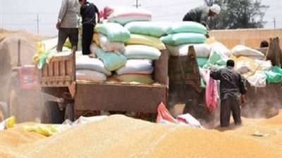الاستيلاء على 47 مليون جنيه من أموال الدعم بشونة قمح في طوخ