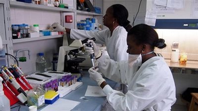 نشرة المحافظات.. ارتفاع حالات الملاريا بأسوان إلى 17 حالة.. محافظ أسيوط يعتمد نتيجة الشهادة الإعدادية بنسبة نجاح 70%.. بدء امتحانات النظام القديم للثانوية العامة.. تسريب امتحان اللغة العربية بالأقصر