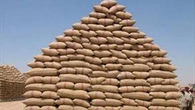 توريد 474 ألفا و168 طن قمح لشون بني سويف