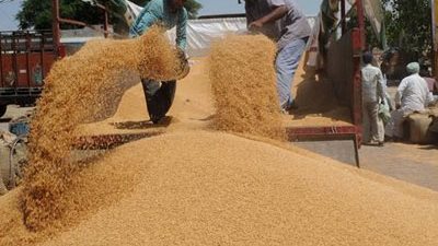 برنامج الأغذية العالمي يتلقى شحنة قمح من أمريكا لدعم الفقراء في اليمن