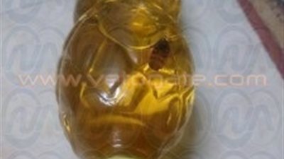 بالصور.. «منتجات التموين بطعم الصراصير».. العثور على الحشرة في الزيت بالفيوم.. قنائي يكتشفها داخل سكر مغلف.. وآخر يحرر محضرا ضد مسئولي الخبز بالسويس للمطالبة بتكثيف الرقابة حفاظا على صحة الب