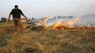 تحرير 22 محضرا بحرق قش الأرز في الشرقية