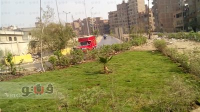 بالصور.. تشجير وتجميل مدخل مدينة الخصوص بالطريق الدائري