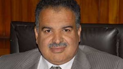 الدهشورى: الأسمنت المستورد وراء انهيار العقارات