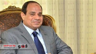 شبكة هندية: أمل المصريين تحقق بتنصيب السيسي