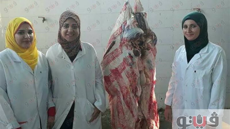 فيتو