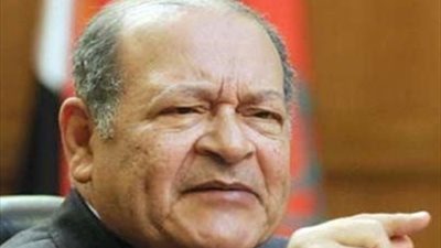 بالفيديو.. شاهد رد فعل «السيسي» على «بشرة خير» في «الدستورية»