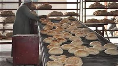 أصحاب المخابز بالقليوبية يطالبون الوزير بصرف الحوافز المتأخرة