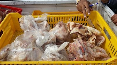 نشرة الاقتصاد: هياكل الدواجن ترتفع لـ 18 جنيها بالأسواق