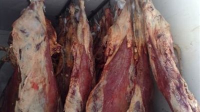 طـرح 4 أطنان لحوم ومواد غذائية بأسعار مخفضة في مغاغة