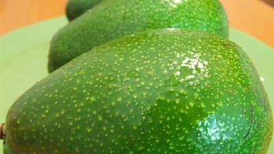 الأفوكادو يخفض الكوليسترول.. ويحمي الجلد من الشمس