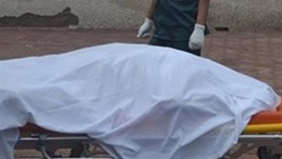 تجديد حبس شقيقين بتهمة قتل سائق في منشأة القناطر