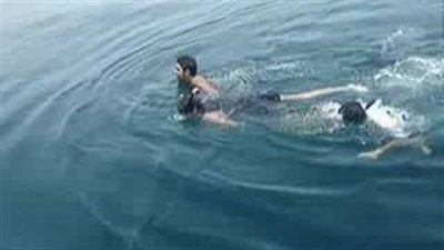 بالفيديو.. 8 معلومات عن قرش الغردقة الأخير.. أليف ولا يؤذي الإنسان.. الإزعاج يجعله عدوانيًا.. فصيلته مهددة بالانقراض ويعيش 100 عام.. المكسيك وقطر أماكن تجمعه.. ويتغذى على الطحالب