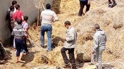 بالفيديو والصور.. «الثعابين» تحاصر العاملين بمزرعة البندرة