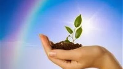 4 أعشاب طبيعية تساعد في علاج العقم