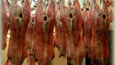 تباين أسعار اللحوم.. و«البتلو» يسجل 130 جنيهًا في أسوان