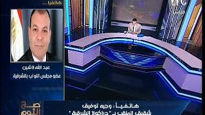 بالفيديو.. مشادة ساخنة بين برلمانى وشقيق «دراكولا الشرقية»