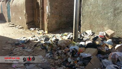 محافظ أسوان يطرح مشروع النظافة على القطاع الخاص