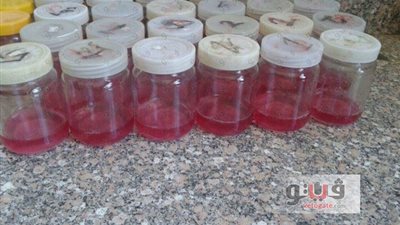 فريق عمل يخترع وسطا غذائيا معقما ذاتيا بعلم زراعة الأنسجة بزراعة أسيوط