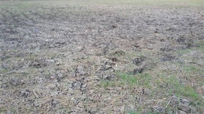 «العطش» يدق أبواب المحافظات.. 8 ملايين مواطن بالجيزة يبحثون عن نقطة ماء الصيف المقبل.. حرب بالأسلحة بين 12 قرية بالبحيرة بسبب الانقطاع المستمر.. و«الصيرفي» محطات جديدة ستعمل قريبا 