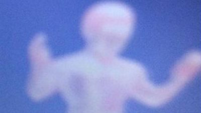 شاهد.. طفل متلازمة داون يلتقط صورة لـ«ملاك» من نافذة طائرة