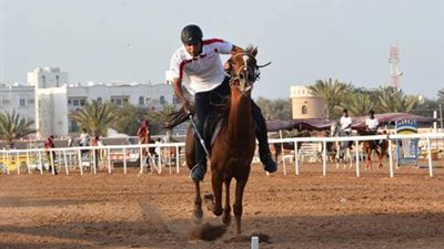 نتائج أول أيام بطولة لكأس العالم للفروسية بالقاهرة