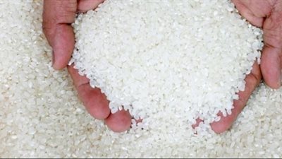 خبير يحذر «التموين» من كمين تجار الأرز الشعير في شراء 2 مليون طن