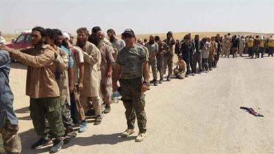 مسئول كردي: مئات الدواعش يسلمون أنفسهم لقوات البشمركة شمال العراق