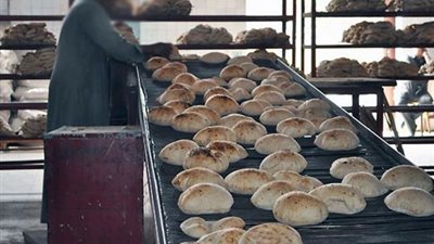 مواصفات إنتاج الرغيف البلدي المدعم في منظومة الخبز الجديدة