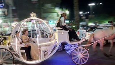 بالفيديو والصور.. زفة عروسين في شارع فيصل بـ«عربة سندريلا»