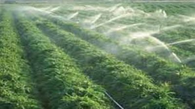 ندوة عن تطوير نظام الري وطرق حمايته من التلوث.. 5 نوفمبر