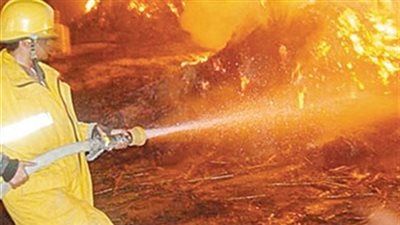 حريق يلتهم فداني قمح بالدقهلية