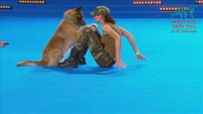 بالفيديو.. كلب يجري إسعافات أولية لمدربته