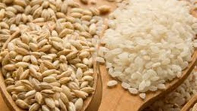 6 جنيهات لكيلو الأرز بالإسكندرية.. اليوم