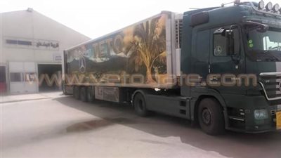 بالصور.. مصر للطيران للشحن الجوي تنقل ٩ أطنان أسماك للكويت