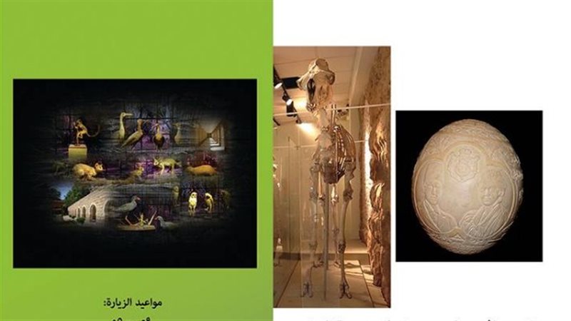 فيتو