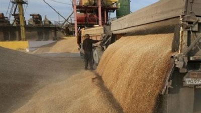 «السلع التموينية»: شراء 170 ألف طن قمح روسي بمليار جنيه