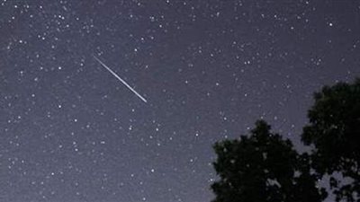 الجمعية الفلكية بجدة: 100 شهاب فى الساعة.. 