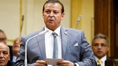 برلماني: المصريون لقنوا قوى الشر درساً قاسياً بالمشاركة في انتخابات الشيوخ