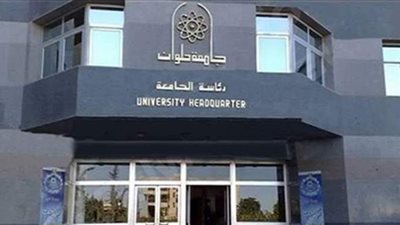 جامعة حلوان تنظم دورة تدريبية عن التخطيط الاستراتيجي